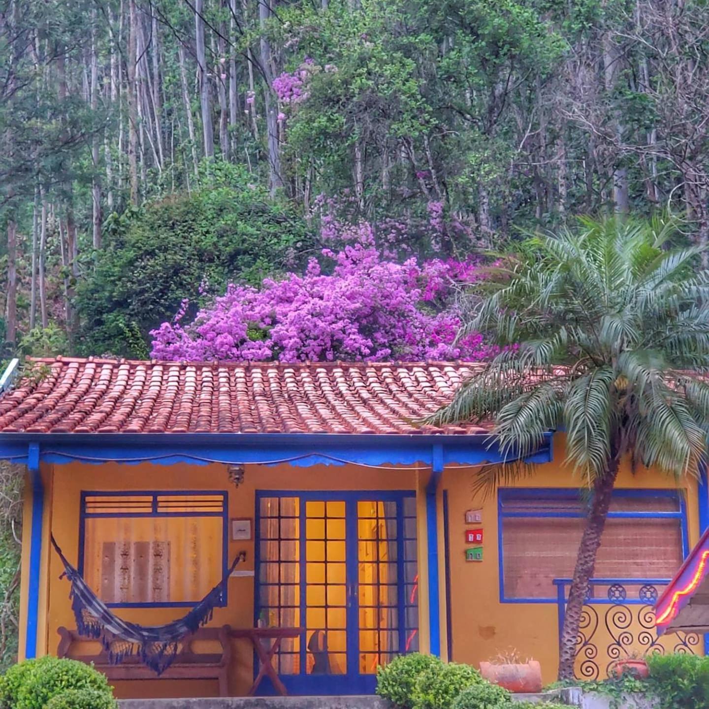 Pousada A Casa Da Fazenda Santo Antônio do Pinhal Εξωτερικό φωτογραφία
